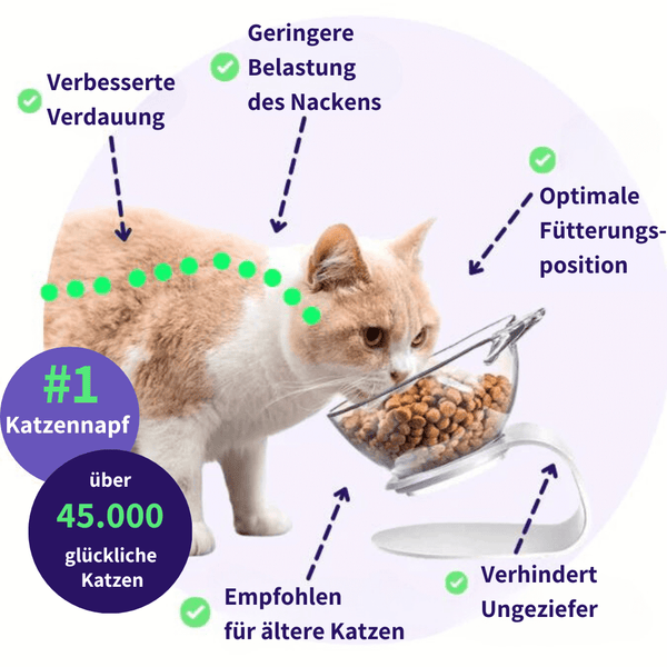 Catty - Ergonomischer Napf stoppt Erbrechen und schnelles Fressen