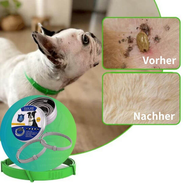 Zeflo - 8 Monate natürlich Zecken- und Flohfrei