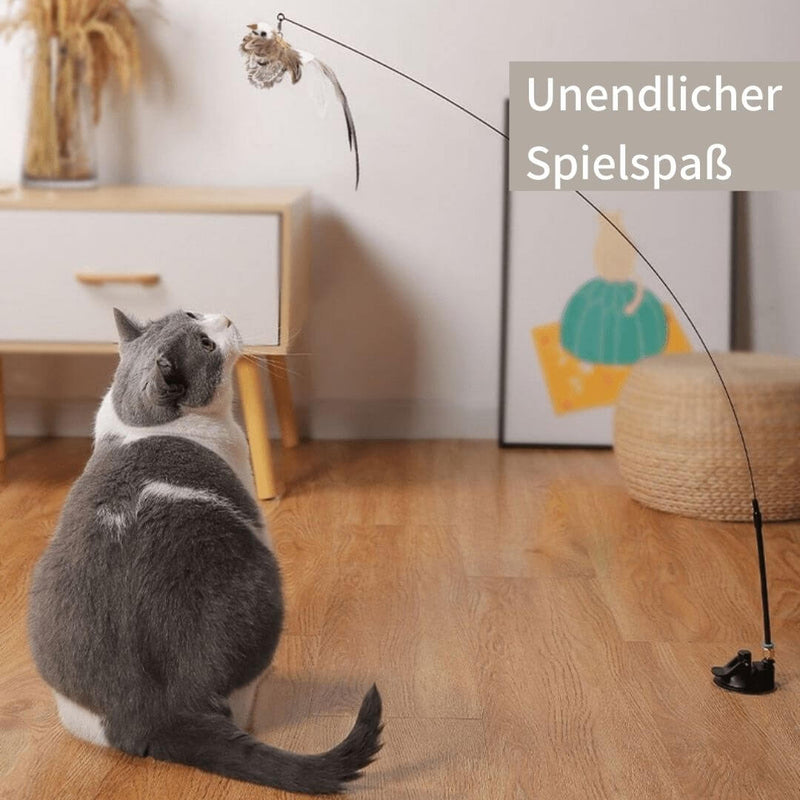 Birdi - Stundenlanger Spielspaß für glückliche Kätzchen