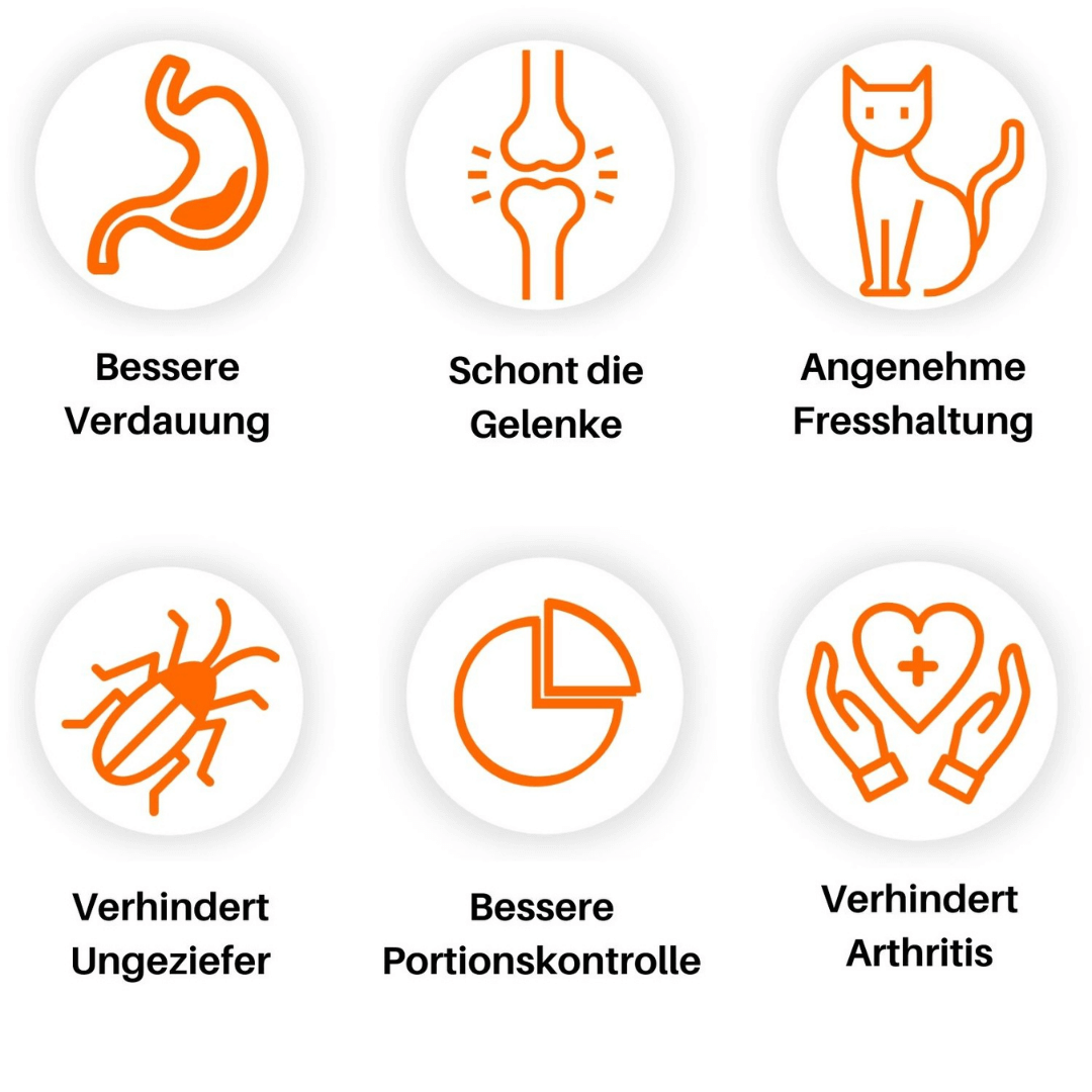 Catty - Ergonomischer Napf stoppt Erbrechen und schnelles Fressen