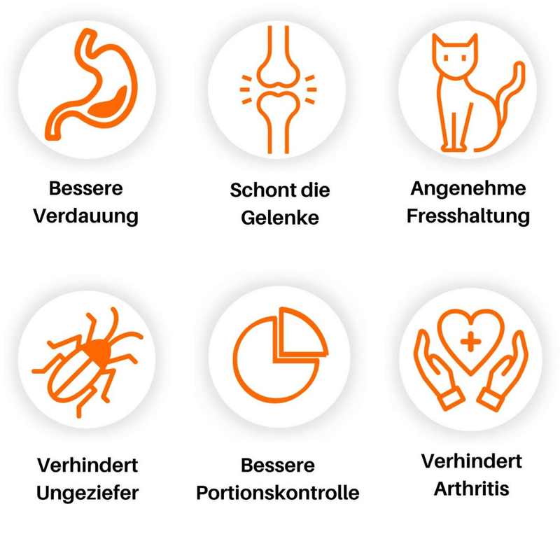 Catty Edelstahl - Ergonomischer Napf stoppt Erbrechen und schnelles Fressen