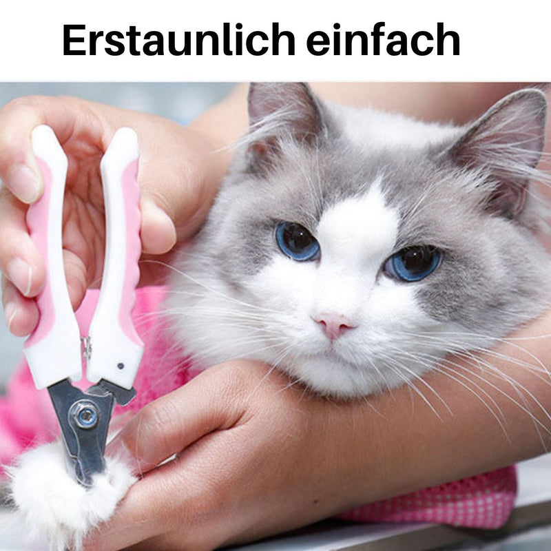 Meshi - Entspannte und gesunde Katzenpflege