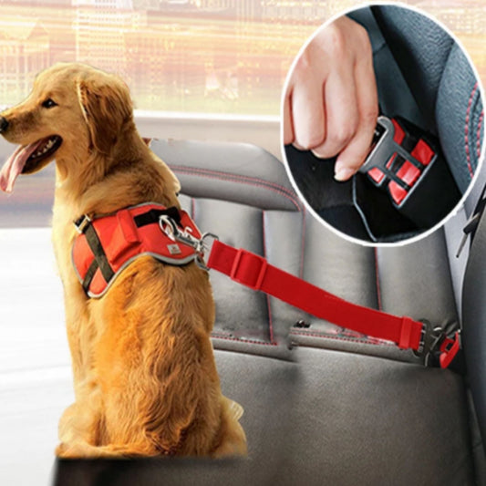 DogSafi - Vollste Sicherheit für Deinen Vierbeiner