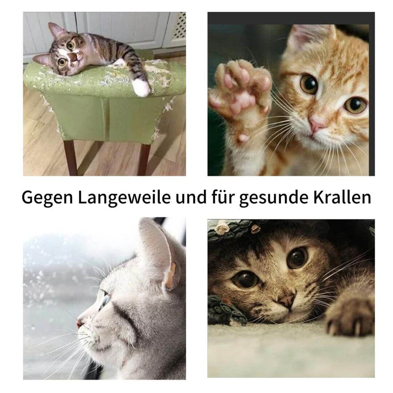 Lucky - Einzigartiger Kratz- und Spielspaß für Deine Katze