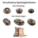 Lucky - Einzigartiger Kratz- und Spielspaß für Deine Katze